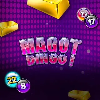 Magot Dingo FDJ illiko