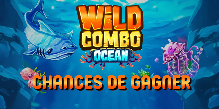 Wild Combo illiko FDJ : test, avis et probabilités mai 2026